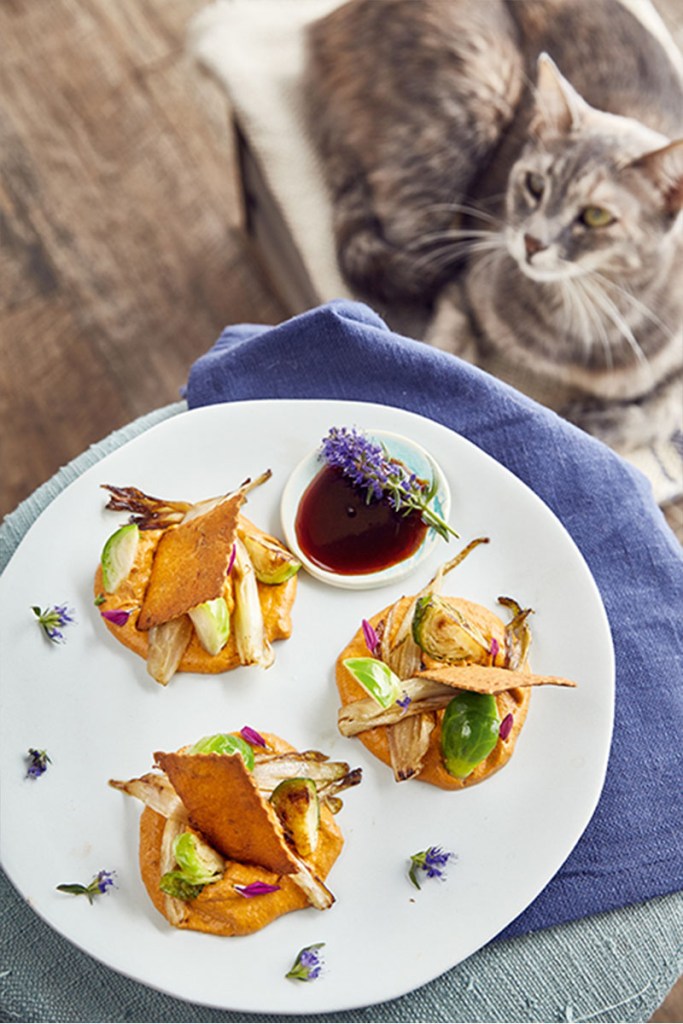 Immagine contenente piatto del menù con gatto sullo sfondo. Ermenegildomaria Vissaleffi